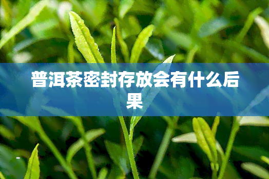 普洱茶密封存放会有什么后果