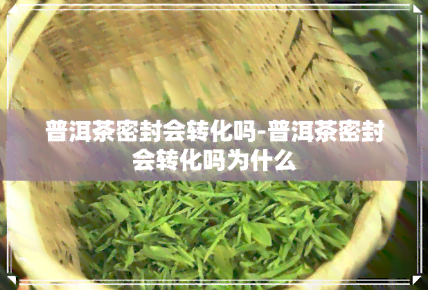 普洱茶密封会转化吗-普洱茶密封会转化吗为什么