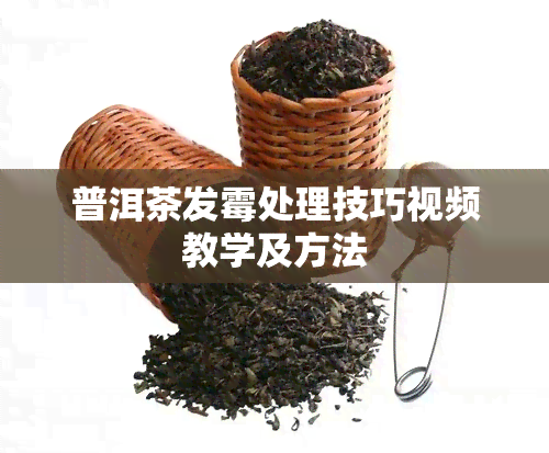 普洱茶发霉处理技巧视频教学及方法