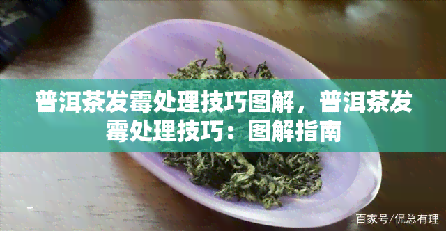 普洱茶发霉处理技巧图解，普洱茶发霉处理技巧：图解指南