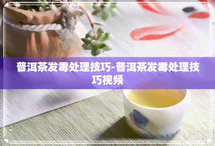 普洱茶发霉处理技巧-普洱茶发霉处理技巧视频