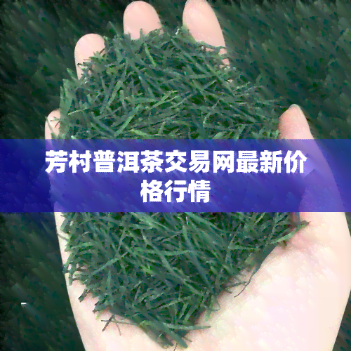 芳村普洱茶交易网最新价格行情