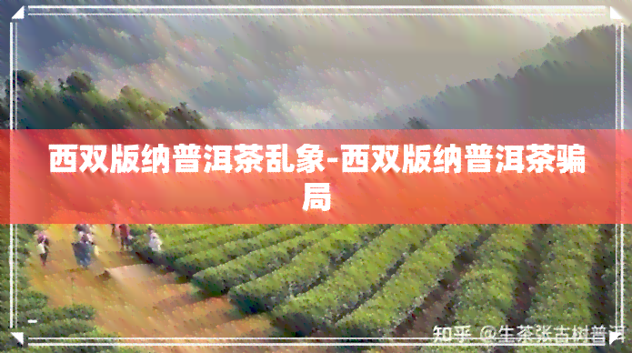 西双版纳普洱茶乱象-西双版纳普洱茶骗局