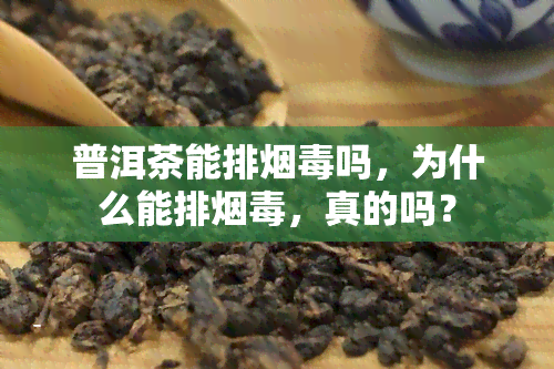 普洱茶能排吗，为什么能排，真的吗？