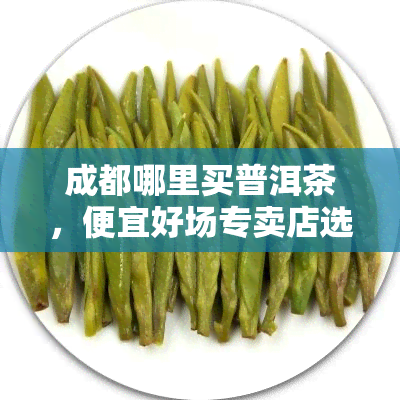 成都哪里买普洱茶，便宜好场专卖店选择