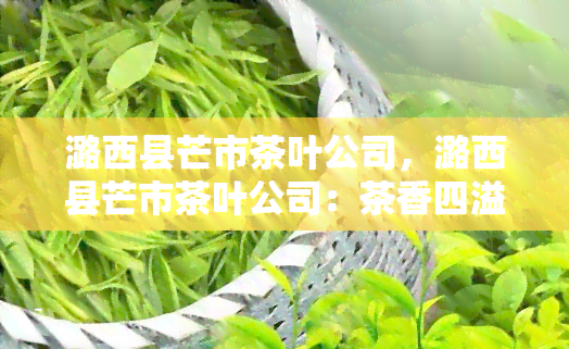 潞西县芒市茶叶公司，潞西县芒市茶叶公司：茶香四溢的故事