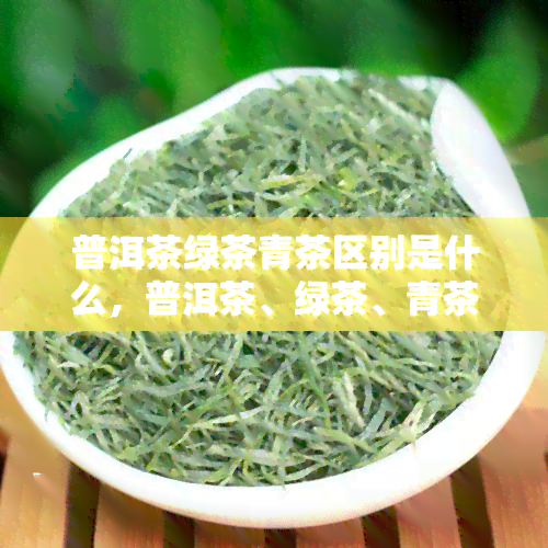 普洱茶绿茶青茶区别是什么，普洱茶、绿茶、青茶：你知道它们的区别吗？