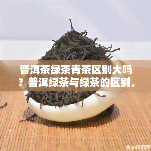 普洱茶绿茶青茶区别大吗？普洱绿茶与绿茶的区别，哪个好？