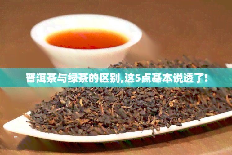 普洱茶与绿茶的区别,这5点基本说透了!