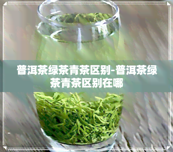 普洱茶绿茶青茶区别-普洱茶绿茶青茶区别在哪