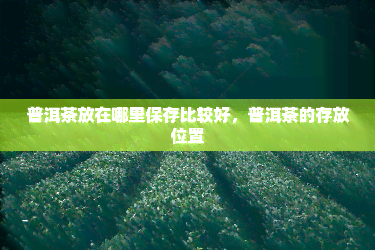 普洱茶放在哪里保存比较好，普洱茶的存放位置