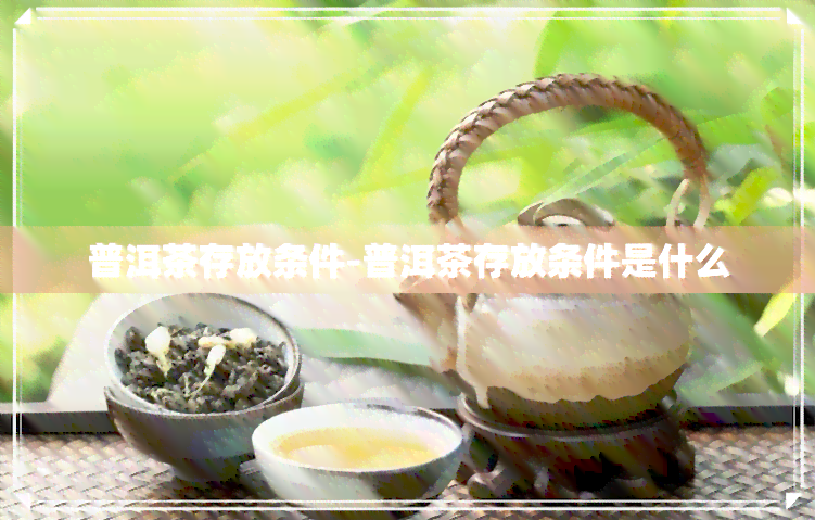 普洱茶存放条件-普洱茶存放条件是什么