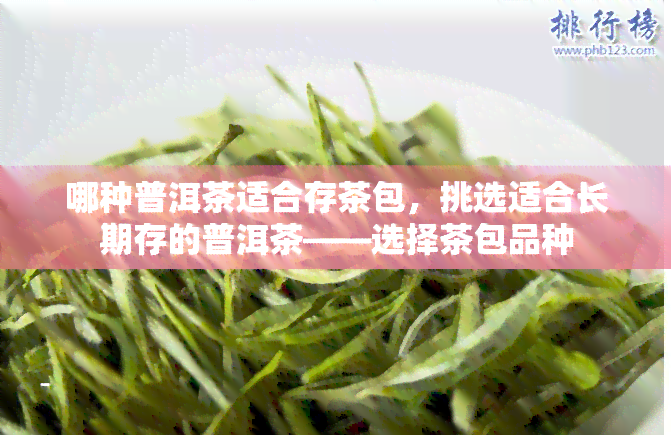 哪种普洱茶适合存茶包，挑选适合长期存的普洱茶——选择茶包品种