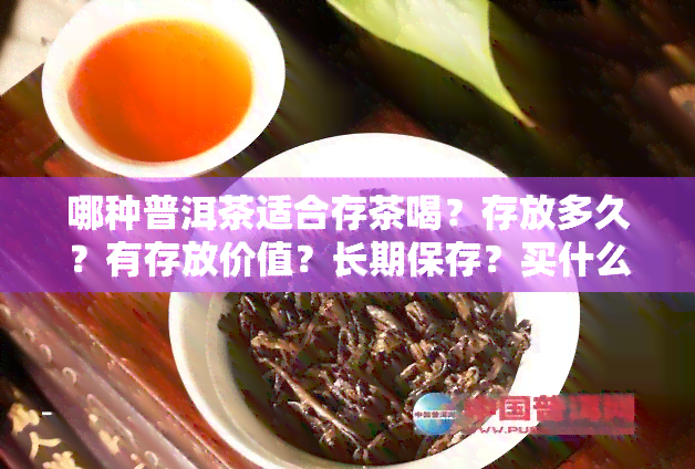 哪种普洱茶适合存茶喝？存放多久？有存放价值？长期保存？买什么牌子的？