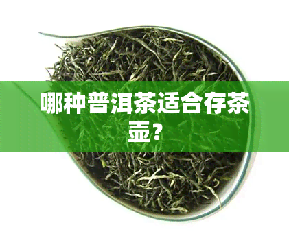 哪种普洱茶适合存茶壶？