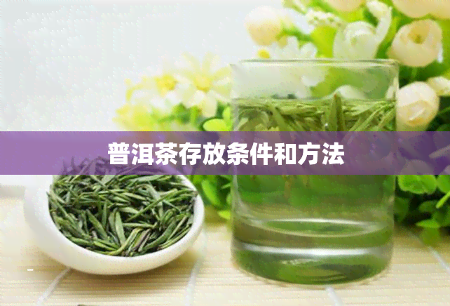 普洱茶存放条件和方法