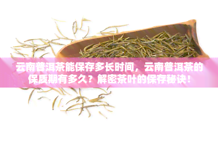 云南普洱茶能保存多长时间，云南普洱茶的保质期有多久？解密茶叶的保存秘诀！