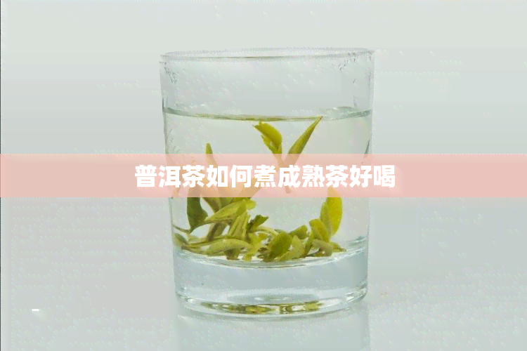 普洱茶如何煮成熟茶好喝