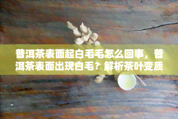 普洱茶表面起白毛毛怎么回事，普洱茶表面出现白毛？解析茶叶变质的可能原因与应对方法