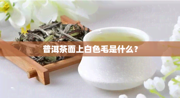 普洱茶面上白色毛是什么？