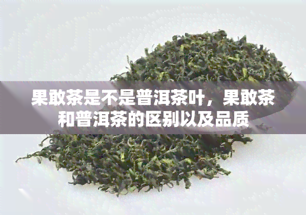 果敢茶是不是普洱茶叶，果敢茶和普洱茶的区别以及品质