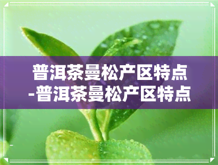 普洱茶曼松产区特点-普洱茶曼松产区特点是什么