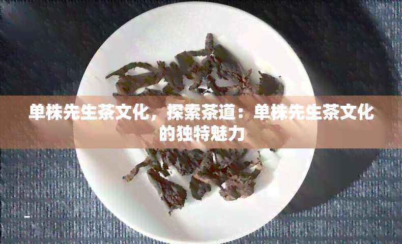 单株先生茶文化，探索茶道：单株先生茶文化的独特魅力