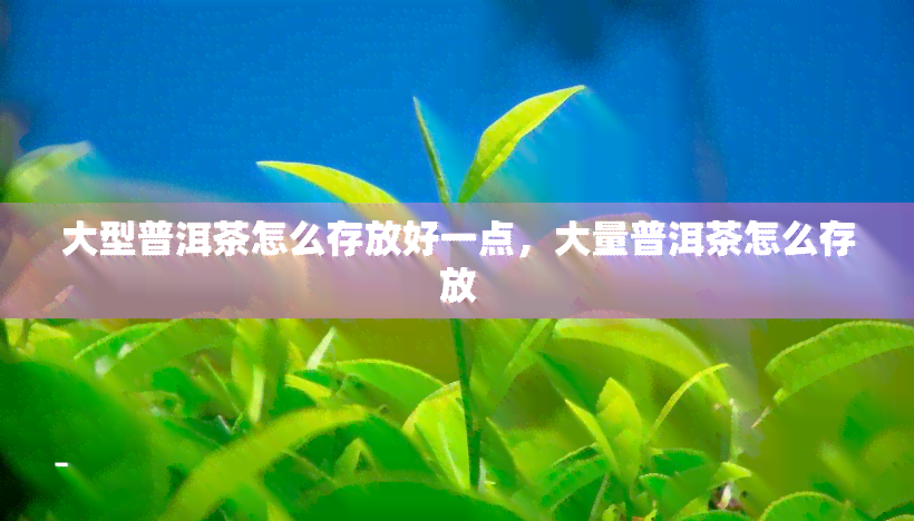 大型普洱茶怎么存放好一点，大量普洱茶怎么存放