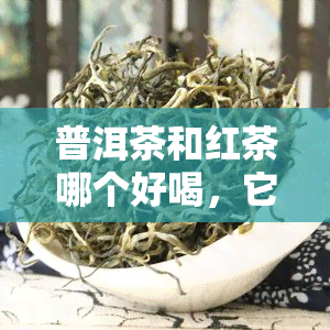 普洱茶和红茶哪个好喝，它们有什么区别？