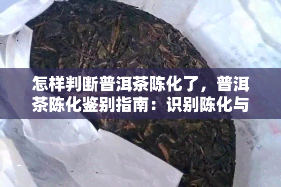 怎样判断普洱茶陈化了，普洱茶陈化鉴别指南：识别陈化与未陈化的方法