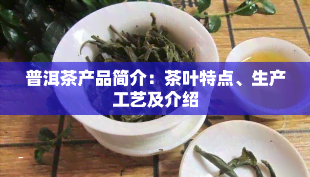 普洱茶产品简介：茶叶特点、生产工艺及介绍