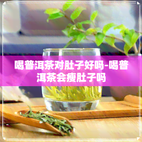 喝普洱茶对肚子好吗-喝普洱茶会瘦肚子吗