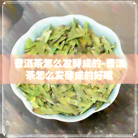 普洱茶怎么发酵成的-普洱茶怎么发酵成的好喝