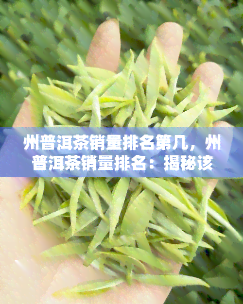 州普洱茶销量排名第几，州普洱茶销量排名：揭秘该茶品在市场上的地位