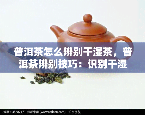 普洱茶怎么辨别干湿茶，普洱茶辨别技巧：识别干湿茶的方法