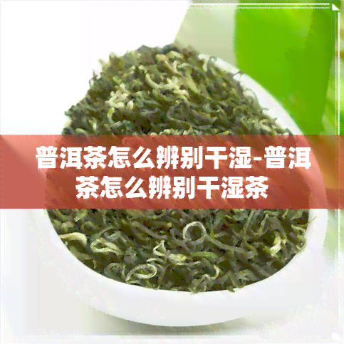 普洱茶怎么辨别干湿-普洱茶怎么辨别干湿茶