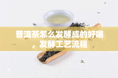 普洱茶怎么发酵成的好喝，发酵工艺流程