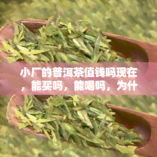 小厂的普洱茶值钱吗现在，能买吗，能喝吗，为什么便宜，小厂和大厂区别