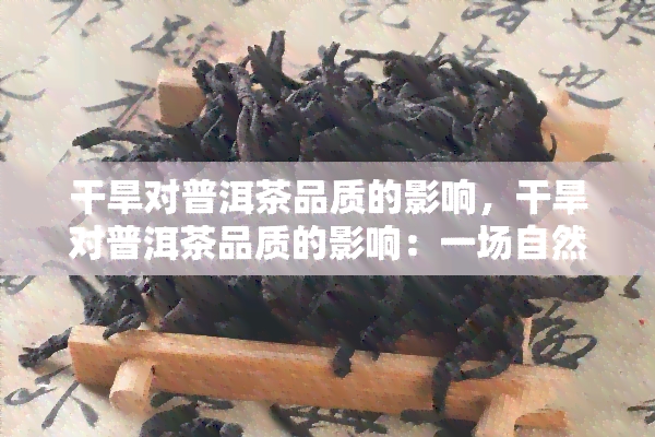 干旱对普洱茶品质的影响，干旱对普洱茶品质的影响：一场自然之力的味觉考验