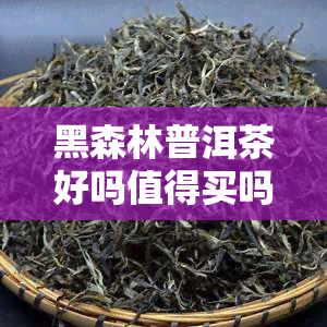 黑森林普洱茶好吗值得买吗？价格如何？