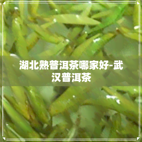 湖北熟普洱茶哪家好-武汉普洱茶