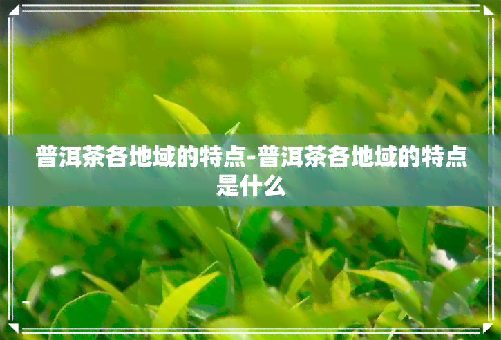 普洱茶各地域的特点-普洱茶各地域的特点是什么