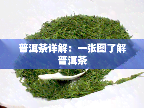 普洱茶详解：一张图了解普洱茶