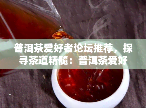 普洱茶爱好者论坛推荐，探寻茶道精髓：普洱茶爱好者论坛推荐