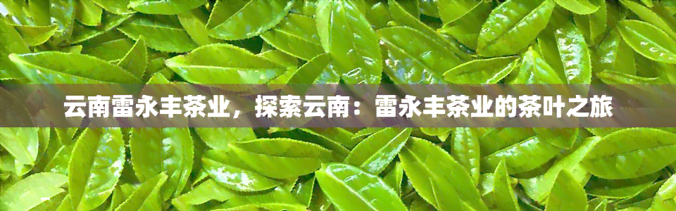 云南雷永丰茶业，探索云南：雷永丰茶业的茶叶之旅