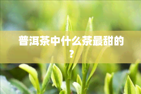 普洱茶中什么茶最甜的？