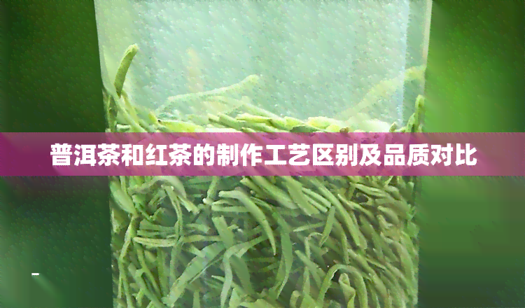 普洱茶和红茶的制作工艺区别及品质对比