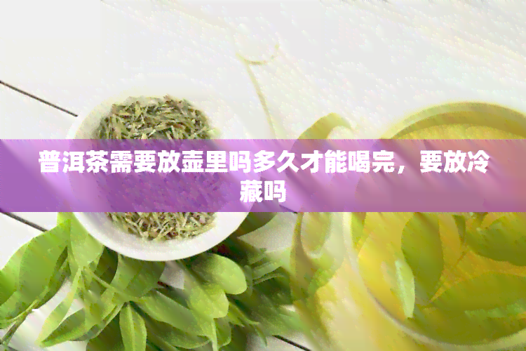 普洱茶需要放壶里吗多久才能喝完，要放冷藏吗