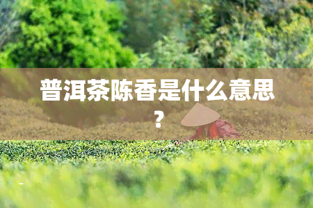 普洱茶陈香是什么意思？