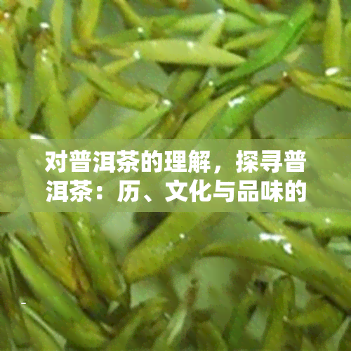 对普洱茶的理解，探寻普洱茶：历、文化与品味的完整解读